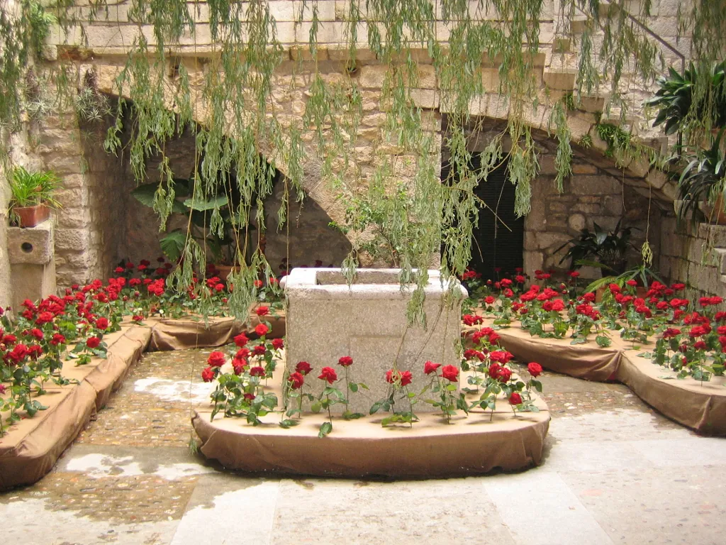 FAQ - Psicologa Calella