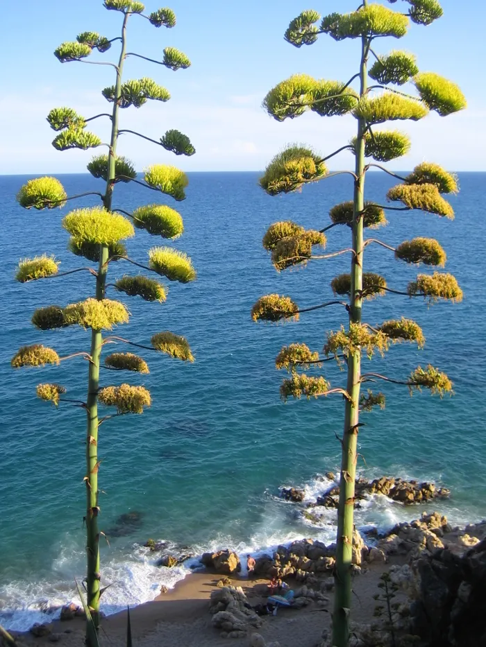 Psicologia Maresme Calella - Cursos Calella